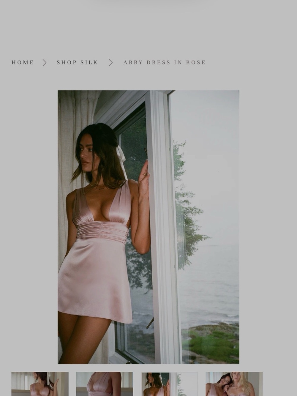 Abby Silk Mini Dress in Rose